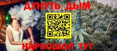 не бодяженный Сланцы