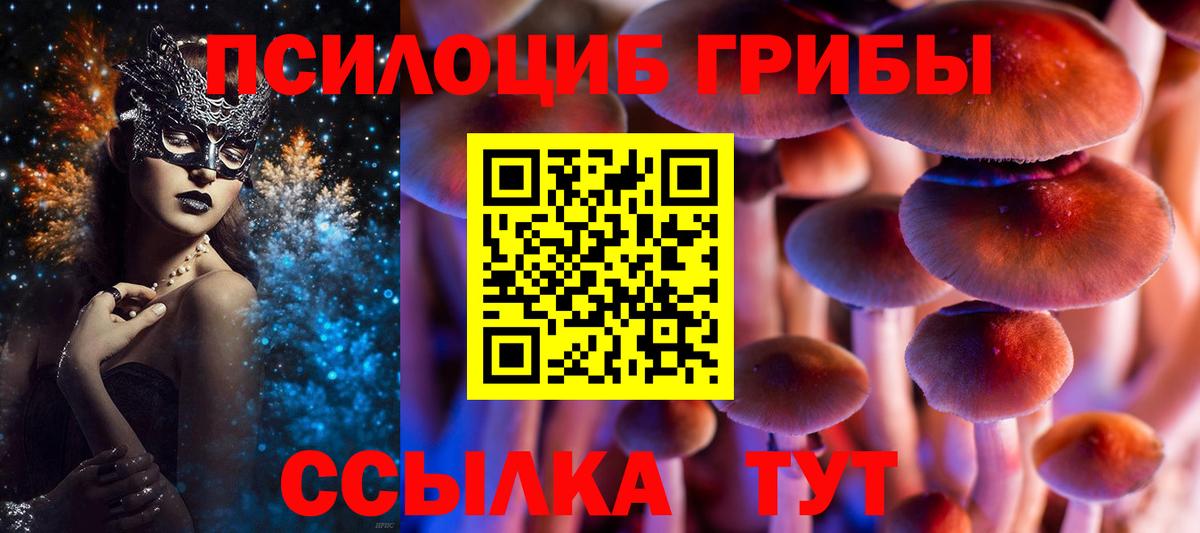 Галлюциногенные грибы ЛСД  Вход с VPN  Приморско-Ахтарск 