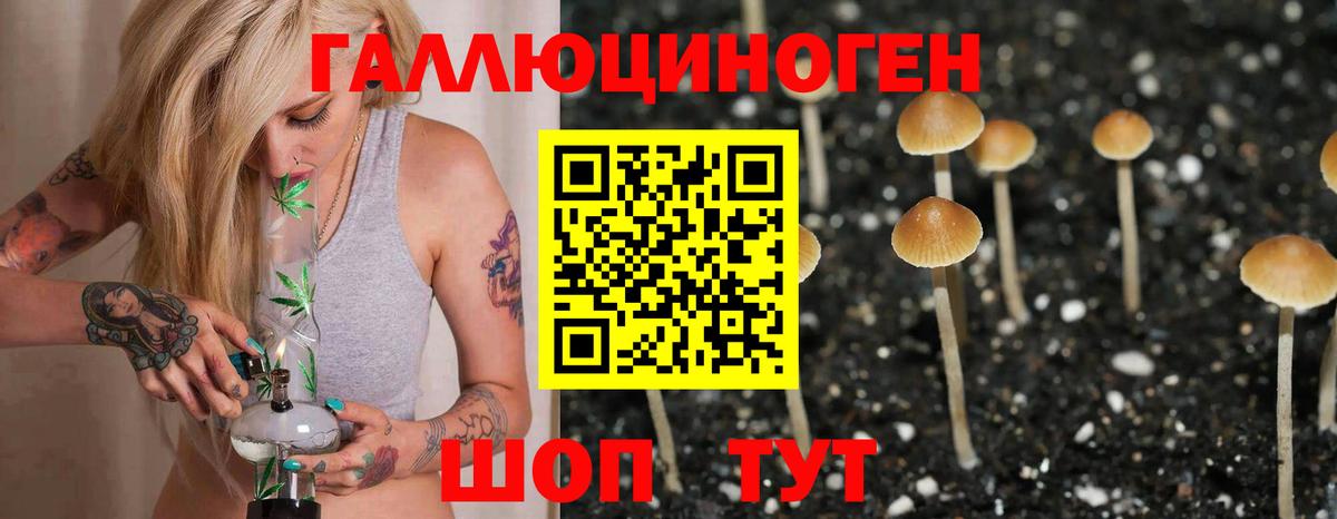 Галлюциногенные грибы Magic Shrooms Приморско-Ахтарск